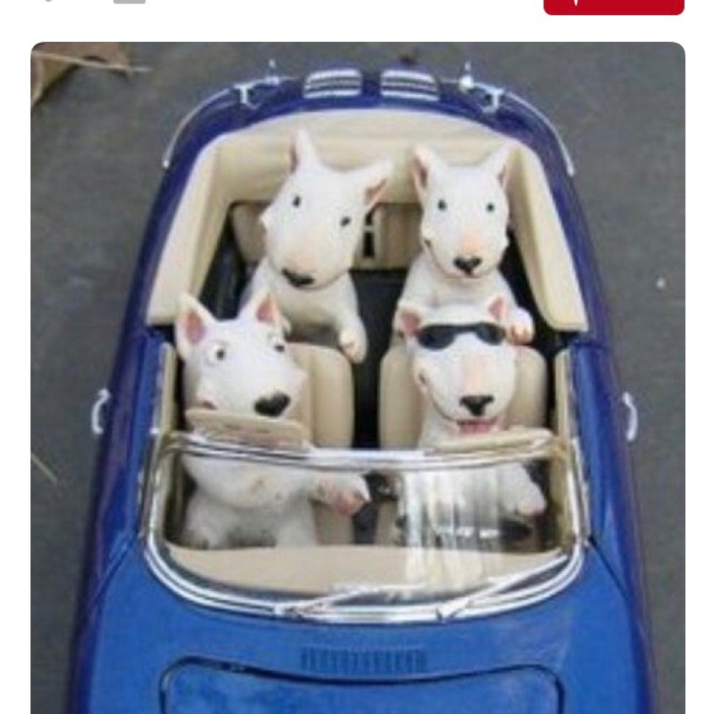 Meet your Posher, Cesar